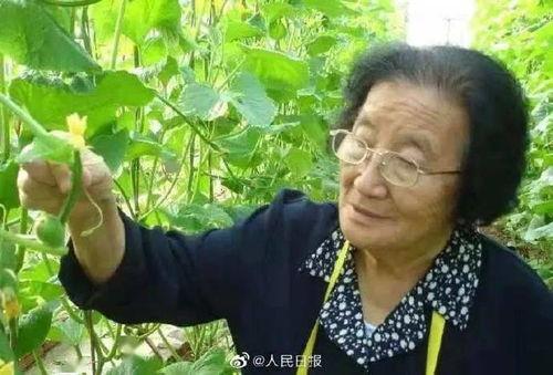 瓜瓜基地 独家爆料吃瓜视频,吃瓜视频背后的惊人真相